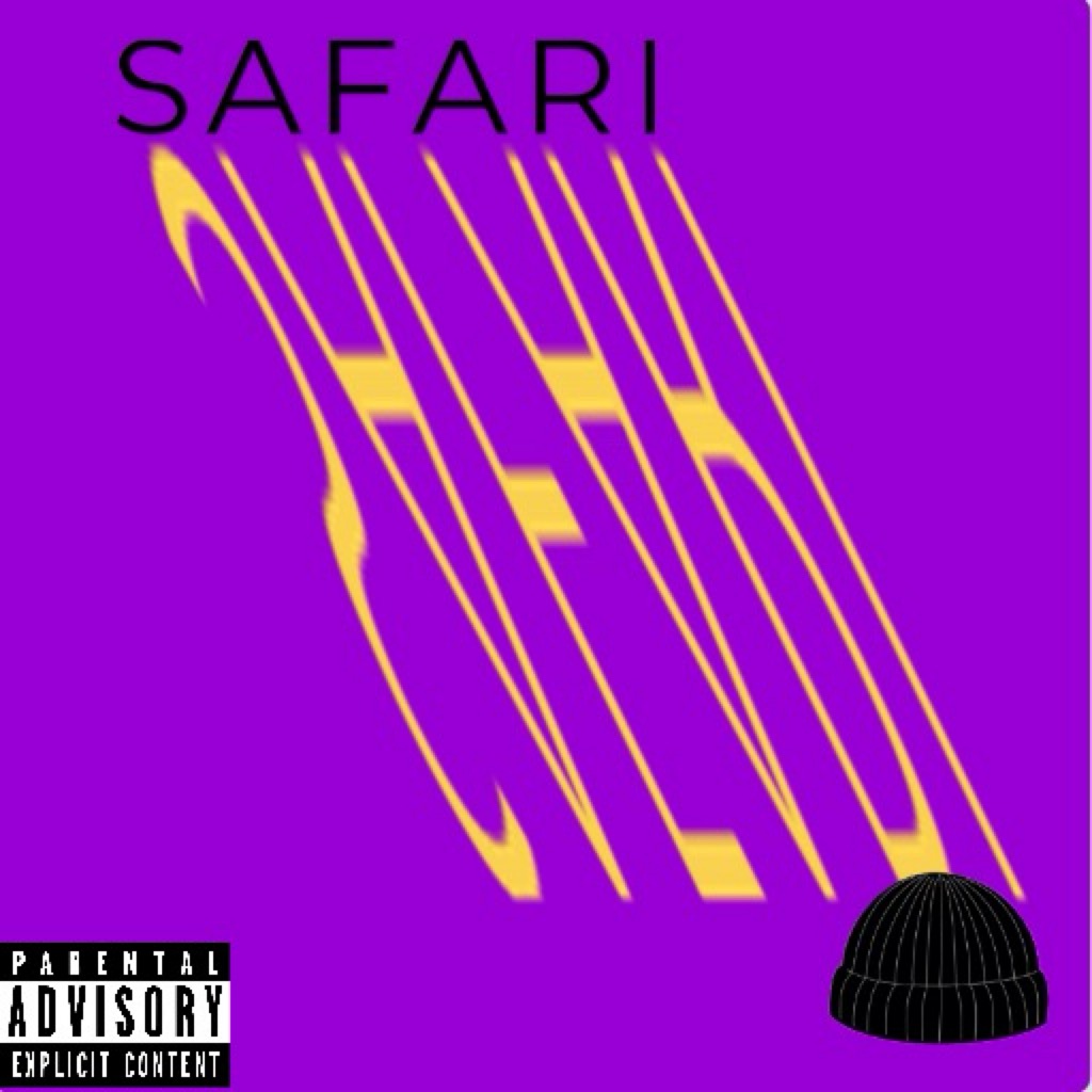 Project art for SAFARI 