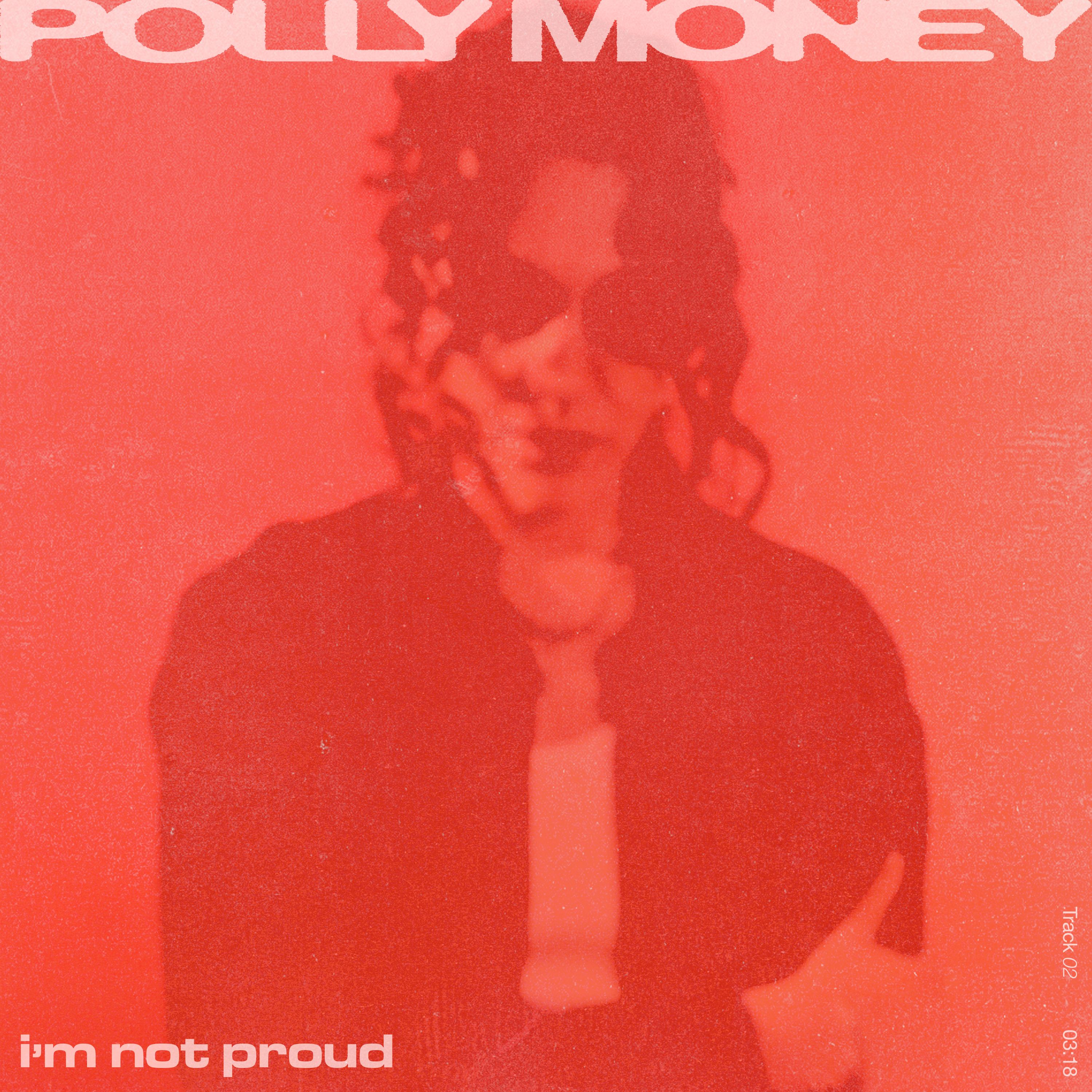 Project art for Polly Money - i'm not proud