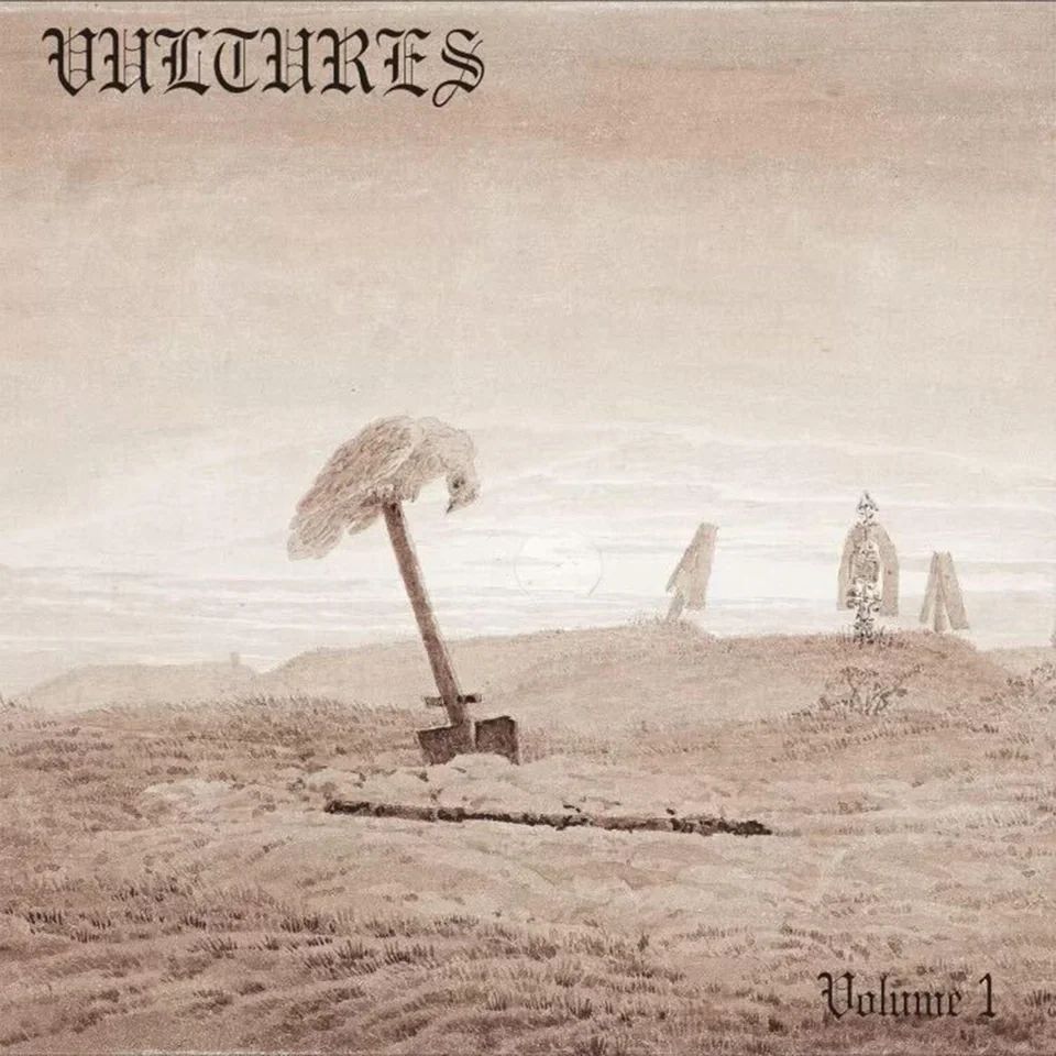 Project art for Vultures Vol. 1