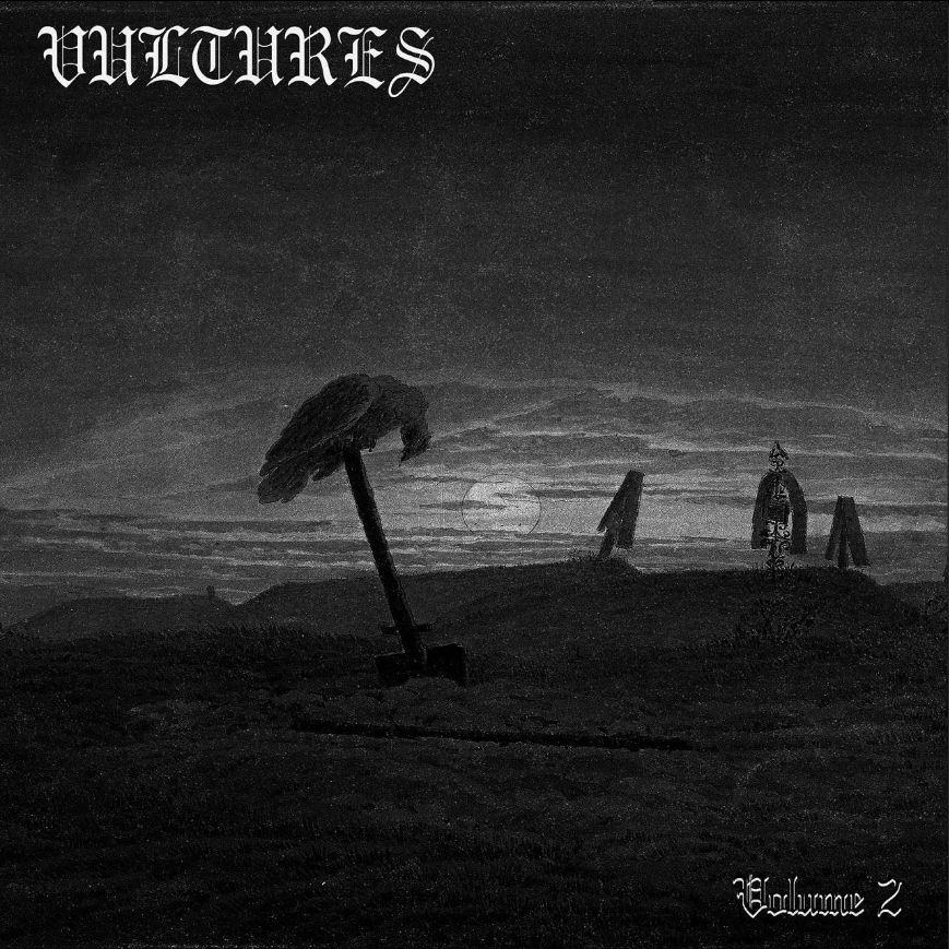 Project art for Vultures Vol. 2