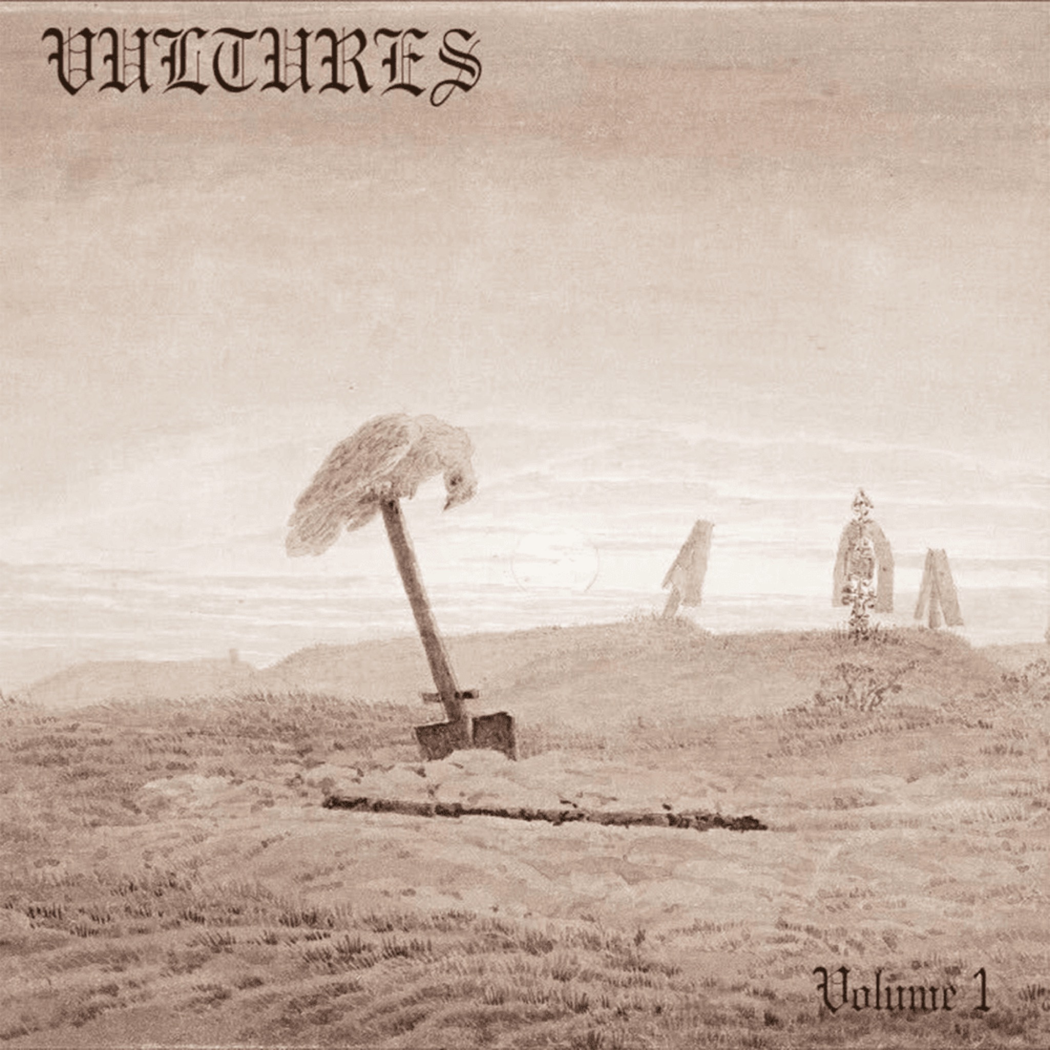 Project art for Vultures