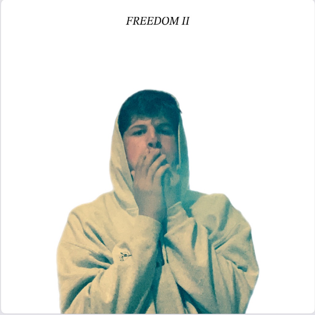 Project art for FREEDOM II