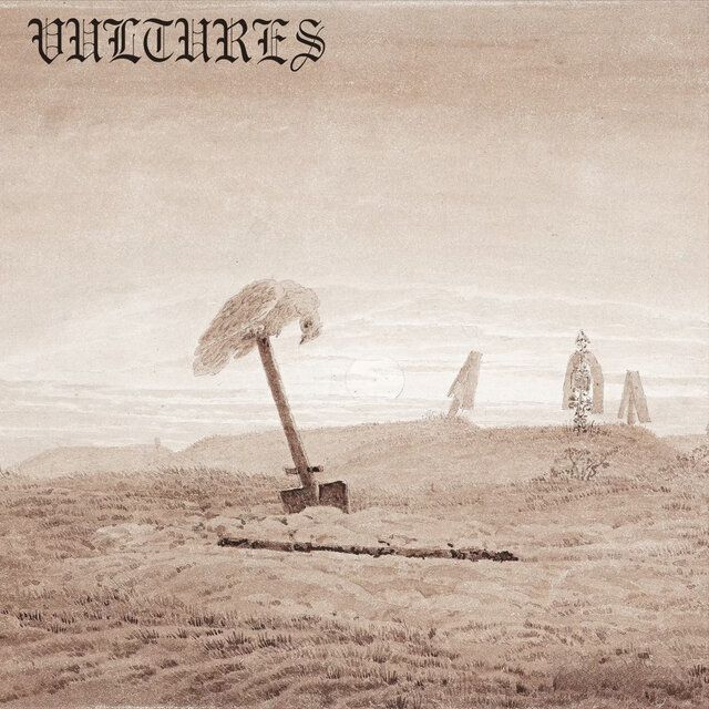 Project art for Vultures