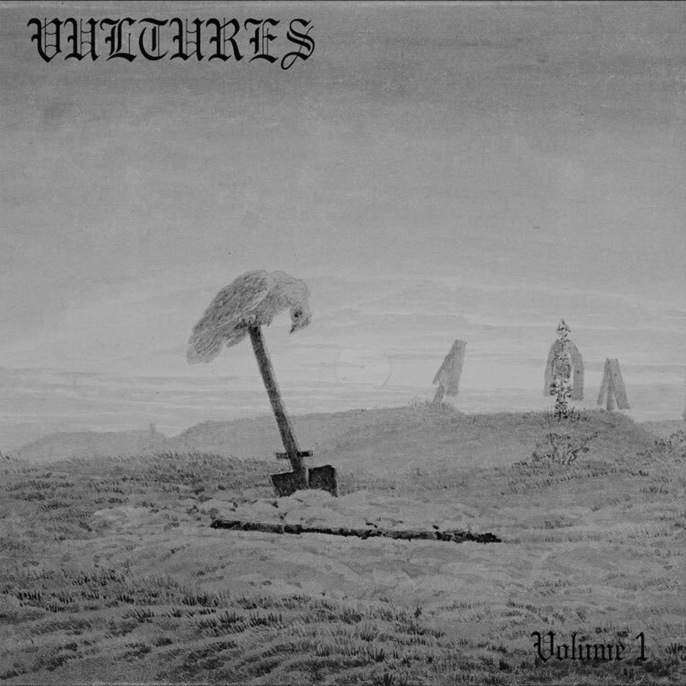 Project art for Vultures (MSRT.2) .wav